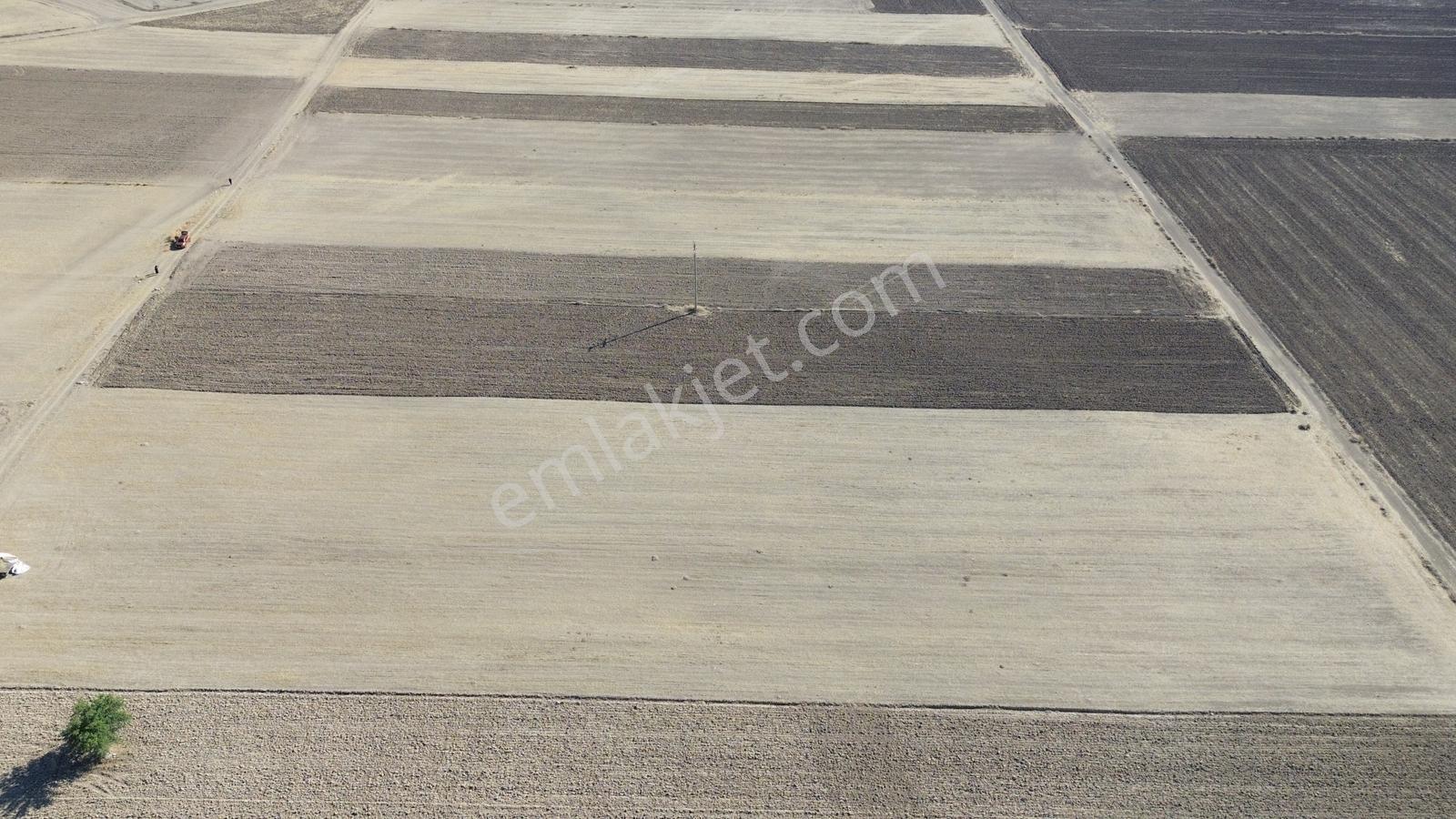 Serinhisar Cumhuriyet Mah. Ana Yola Yakın 4.154 M² Satılık Tarla — fotoğraf 4