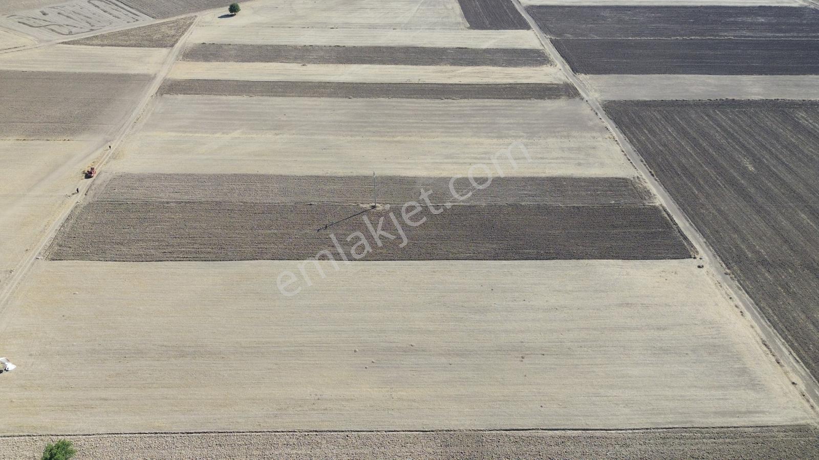 Serinhisar Cumhuriyet Mah. Ana Yola Yakın 4.154 M² Satılık Tarla — fotoğraf 5