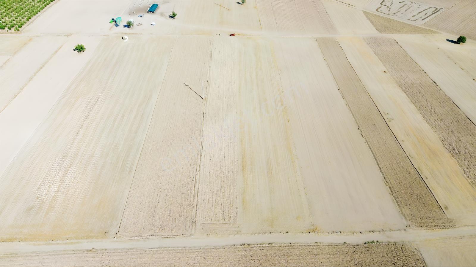 Serinhisar Cumhuriyet Mah. Ana Yola Yakın 4.154 M² Satılık Tarla — fotoğraf 6