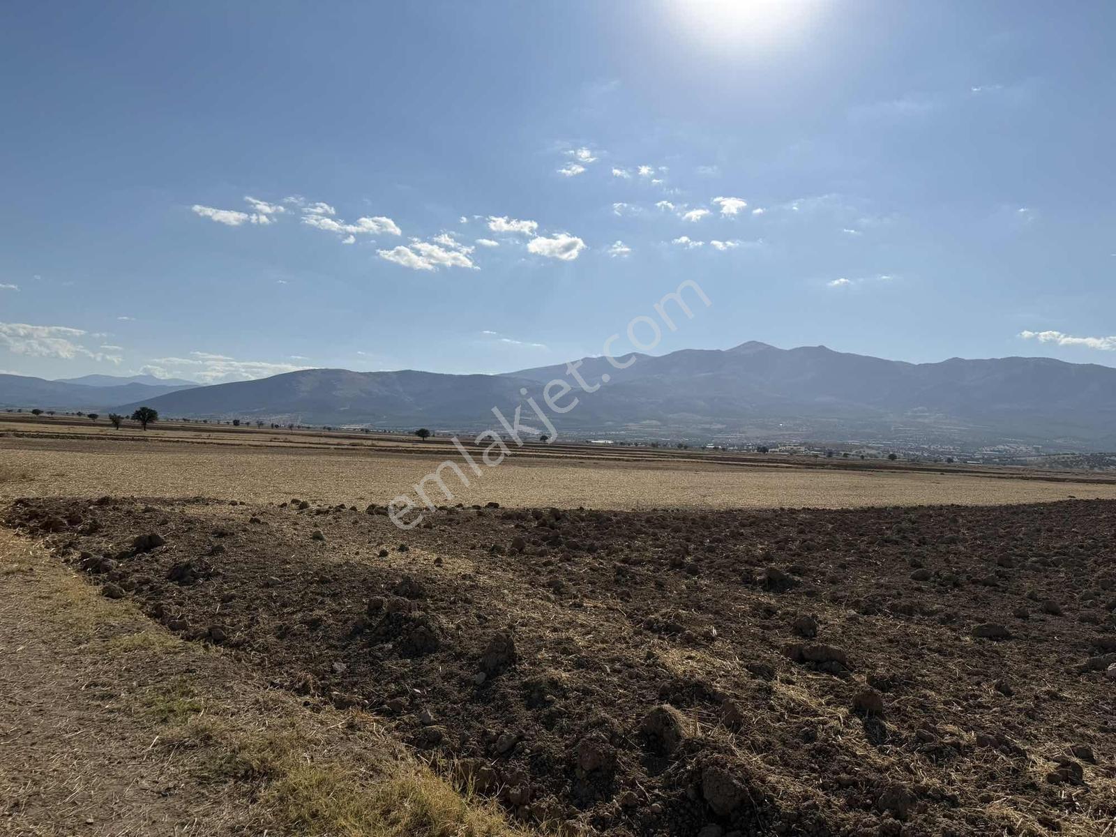 Serinhisar Cumhuriyet Mah. Ana Yola Yakın 4.154 M² Satılık Tarla — fotoğraf 18