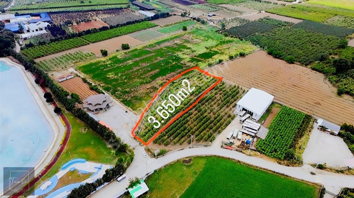 Bursa Çukurca'Da Sukay Park Yanı Asfalta Cephe Arazi