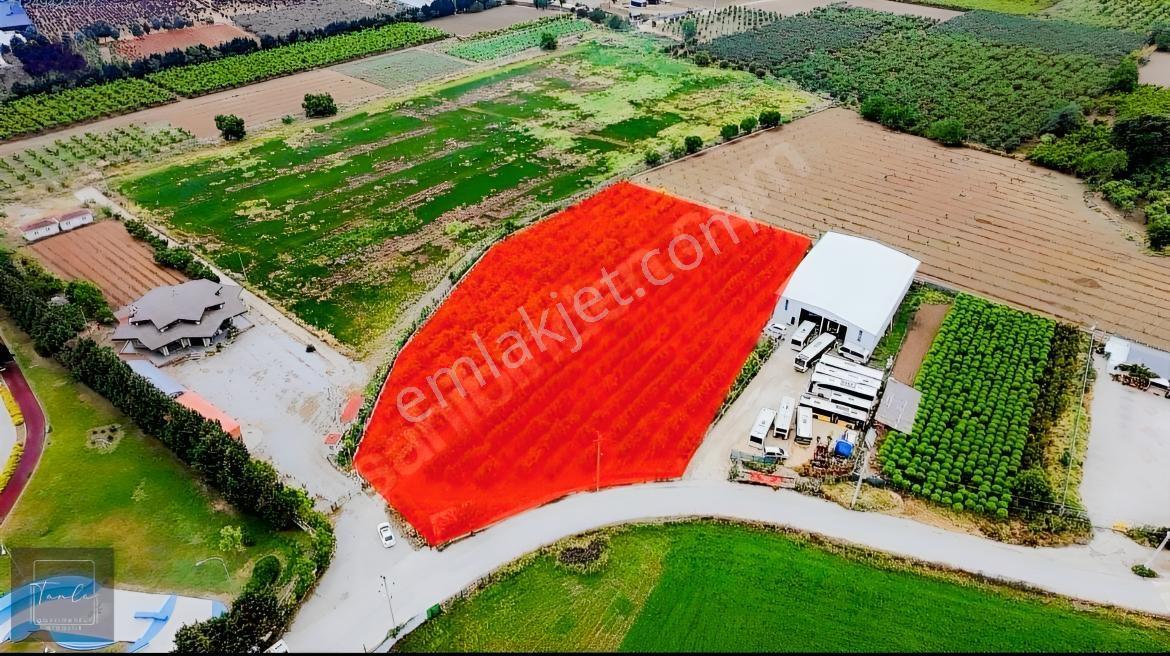 Bursa Çukurca'da Sukay Park Yanı Asfalta Cephe Arazi — fotoğraf 2