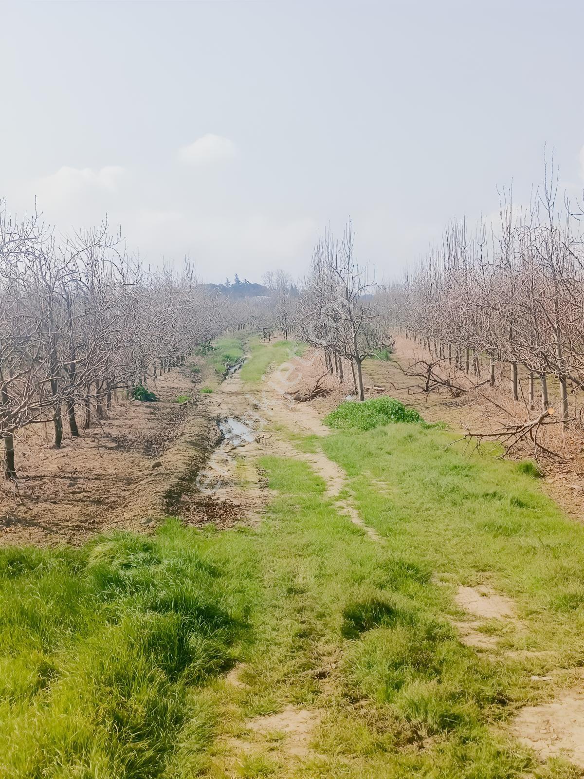 Bursa Çukurca'da Sukay Park Yanı Asfalta Cephe Arazi — fotoğraf 6
