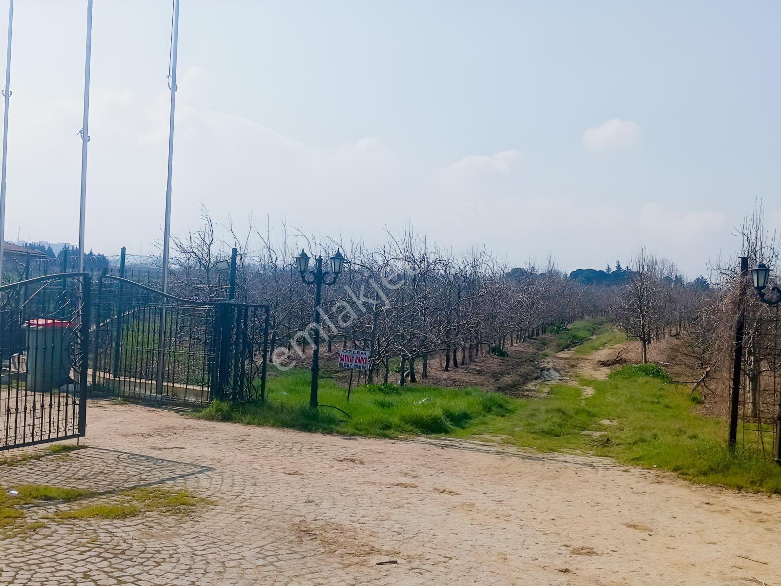 Bursa Çukurca'da Sukay Park Yanı Asfalta Cephe Arazi — fotoğraf 8