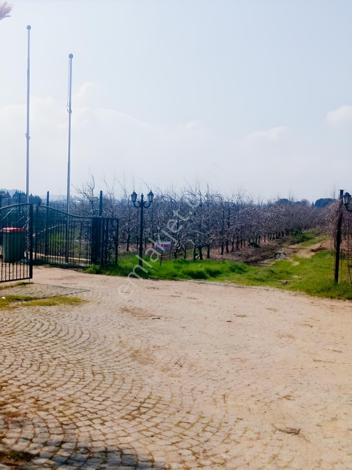 Bursa Çukurca'da Sukay Park Yanı Asfalta Cephe Arazi — fotoğraf 10