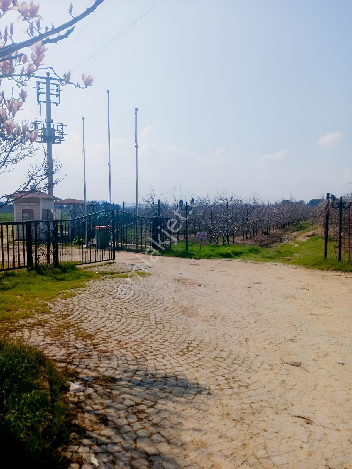 Bursa Çukurca'da Sukay Park Yanı Asfalta Cephe Arazi — fotoğraf 13
