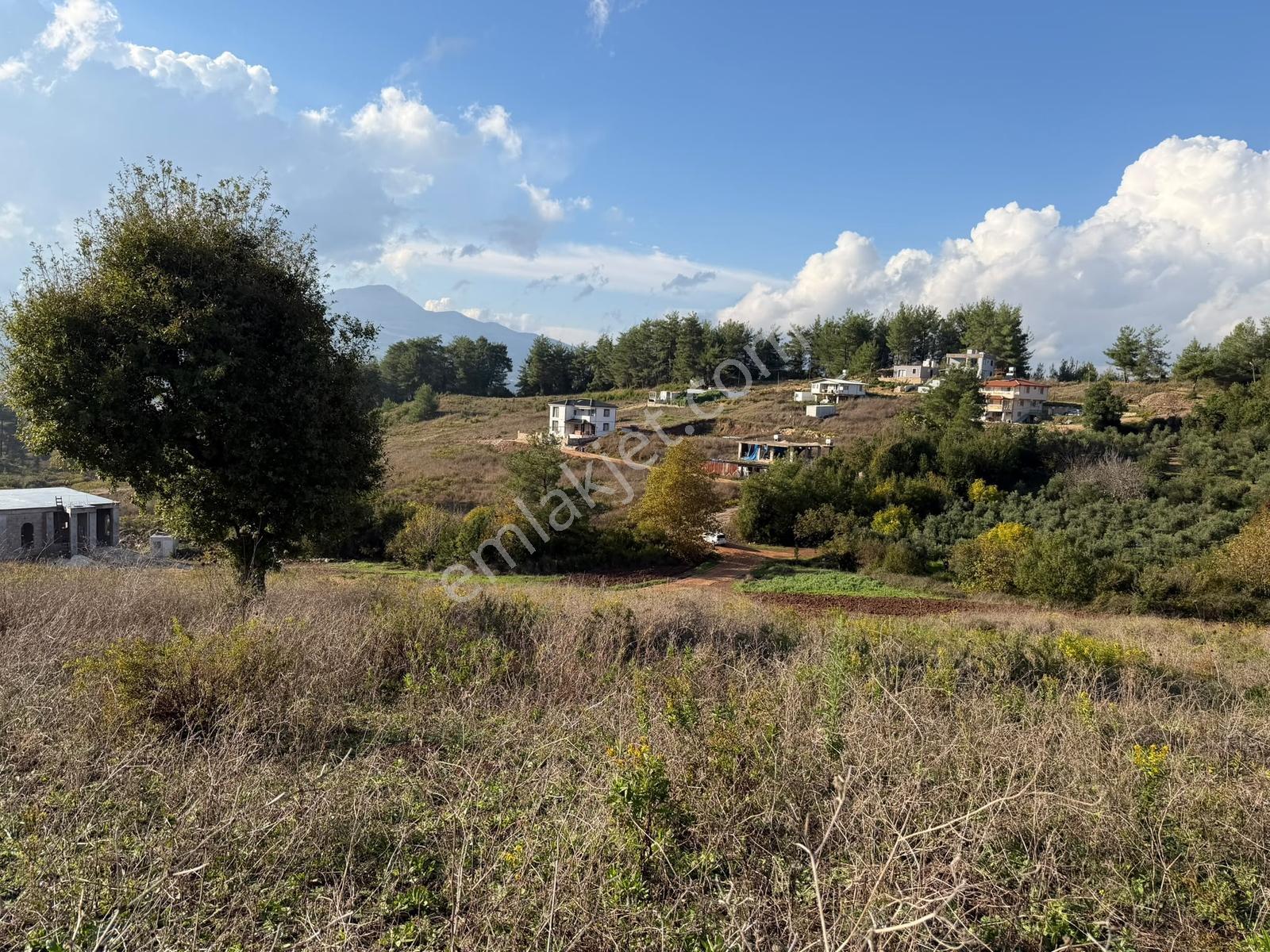 Oflaz Emlaktan Satılık Fırsat Arsa — fotoğraf 2