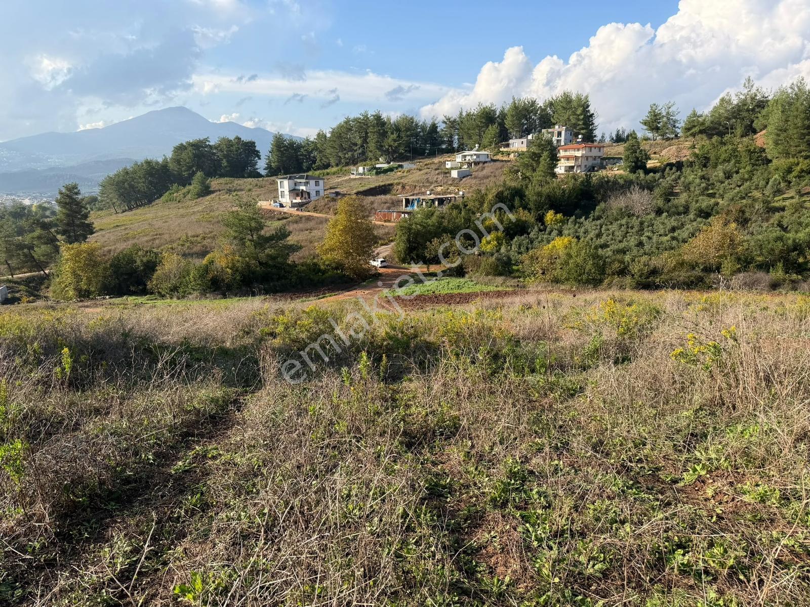 Oflaz Emlaktan Satılık Fırsat Arsa — fotoğraf 3