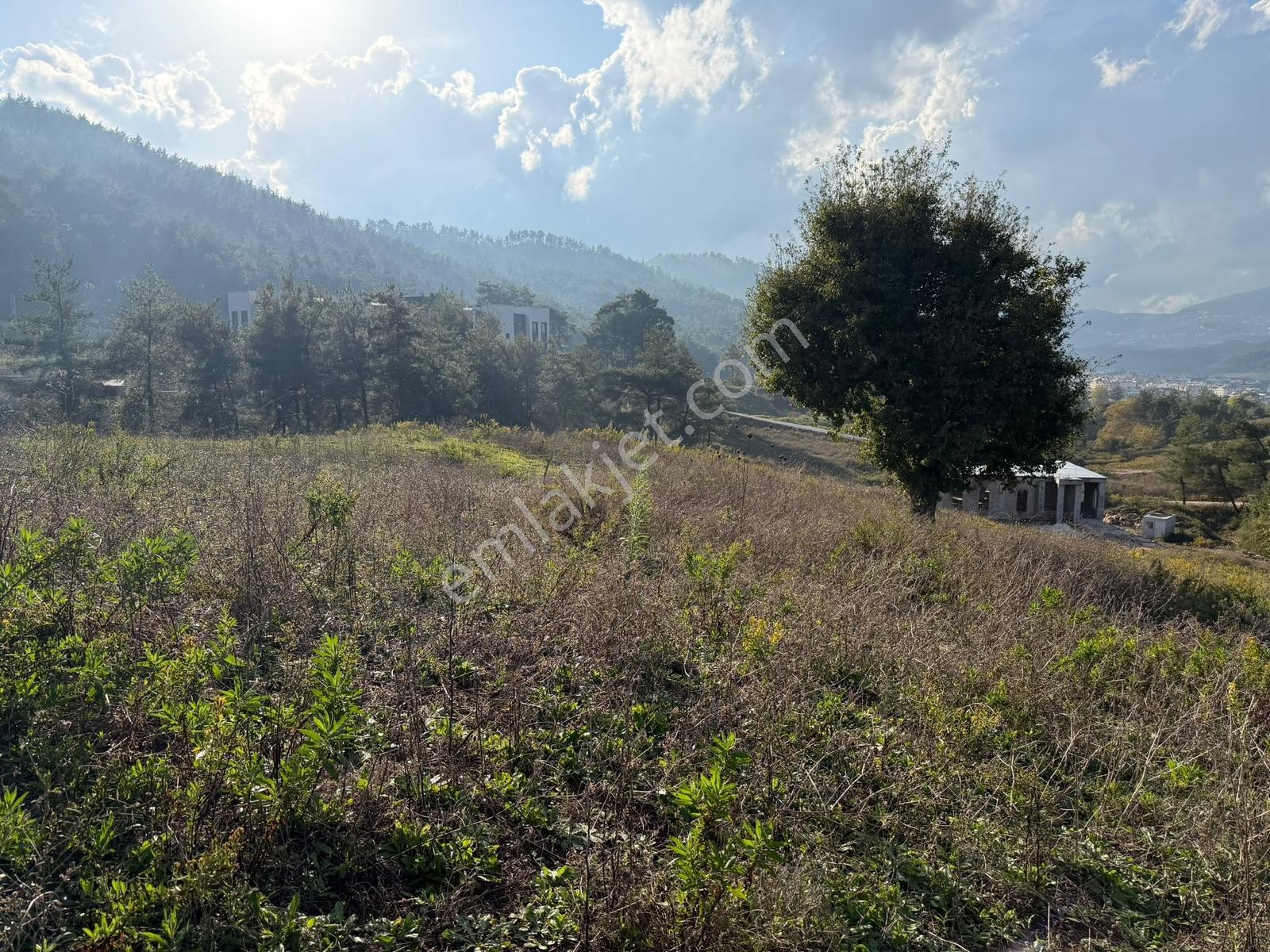 Oflaz Emlaktan Satılık Fırsat Arsa — fotoğraf 7