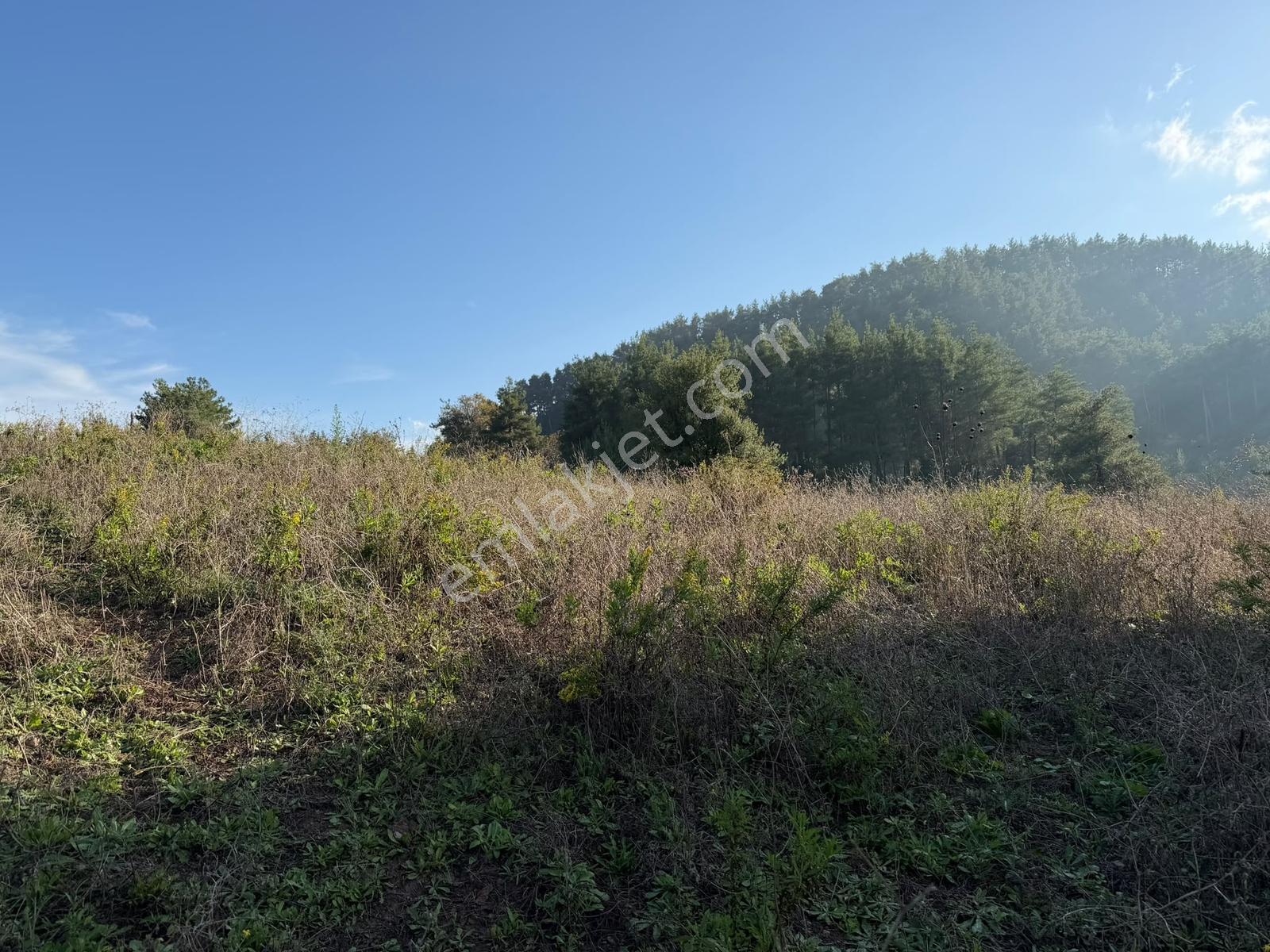 Oflaz Emlaktan Satılık Fırsat Arsa — fotoğraf 8