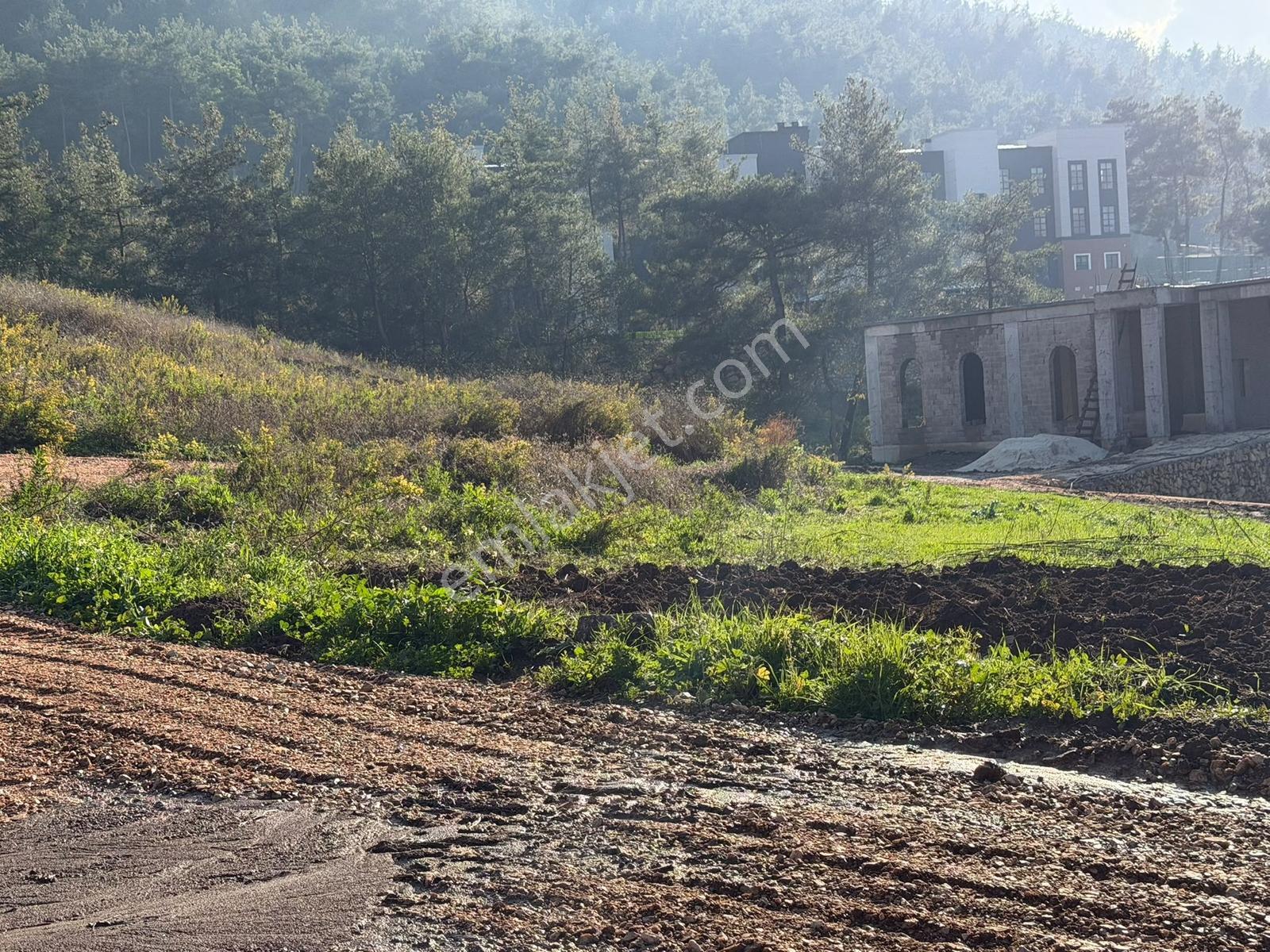Oflaz Emlaktan Satılık Fırsat Arsa — fotoğraf 14
