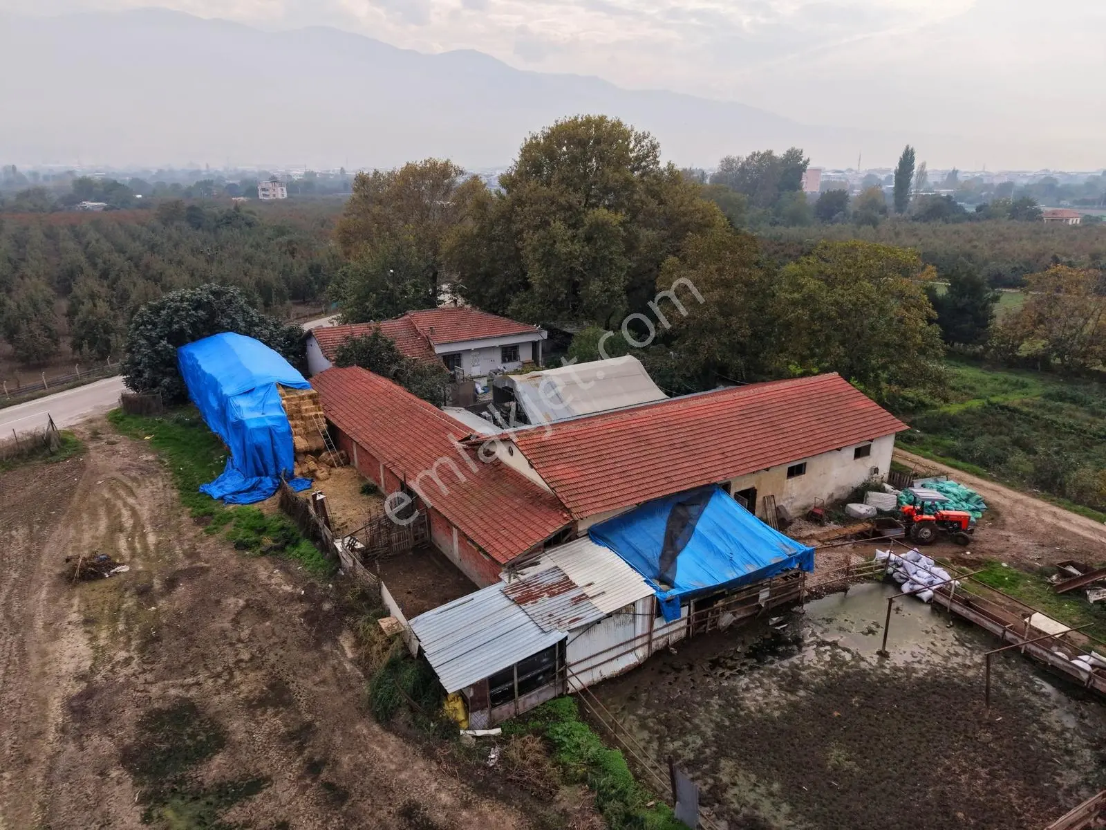 Gürsu Adaköy Yolu Üzerinde Satılık 8625m² Çiftlik Ve Arsası — fotoğraf 11
