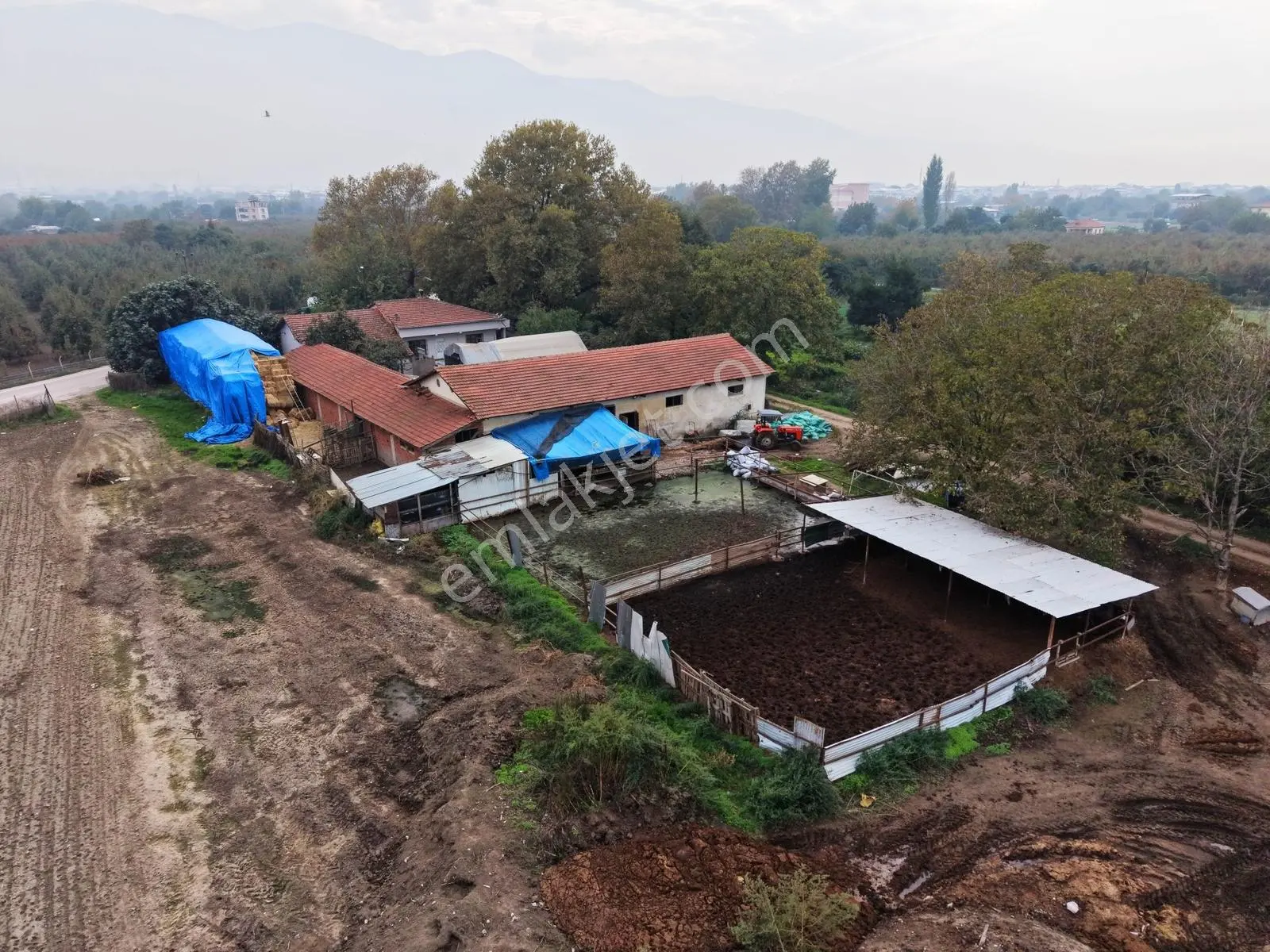 Gürsu Adaköy Yolu Üzerinde Satılık 8625m² Çiftlik Ve Arsası — fotoğraf 12