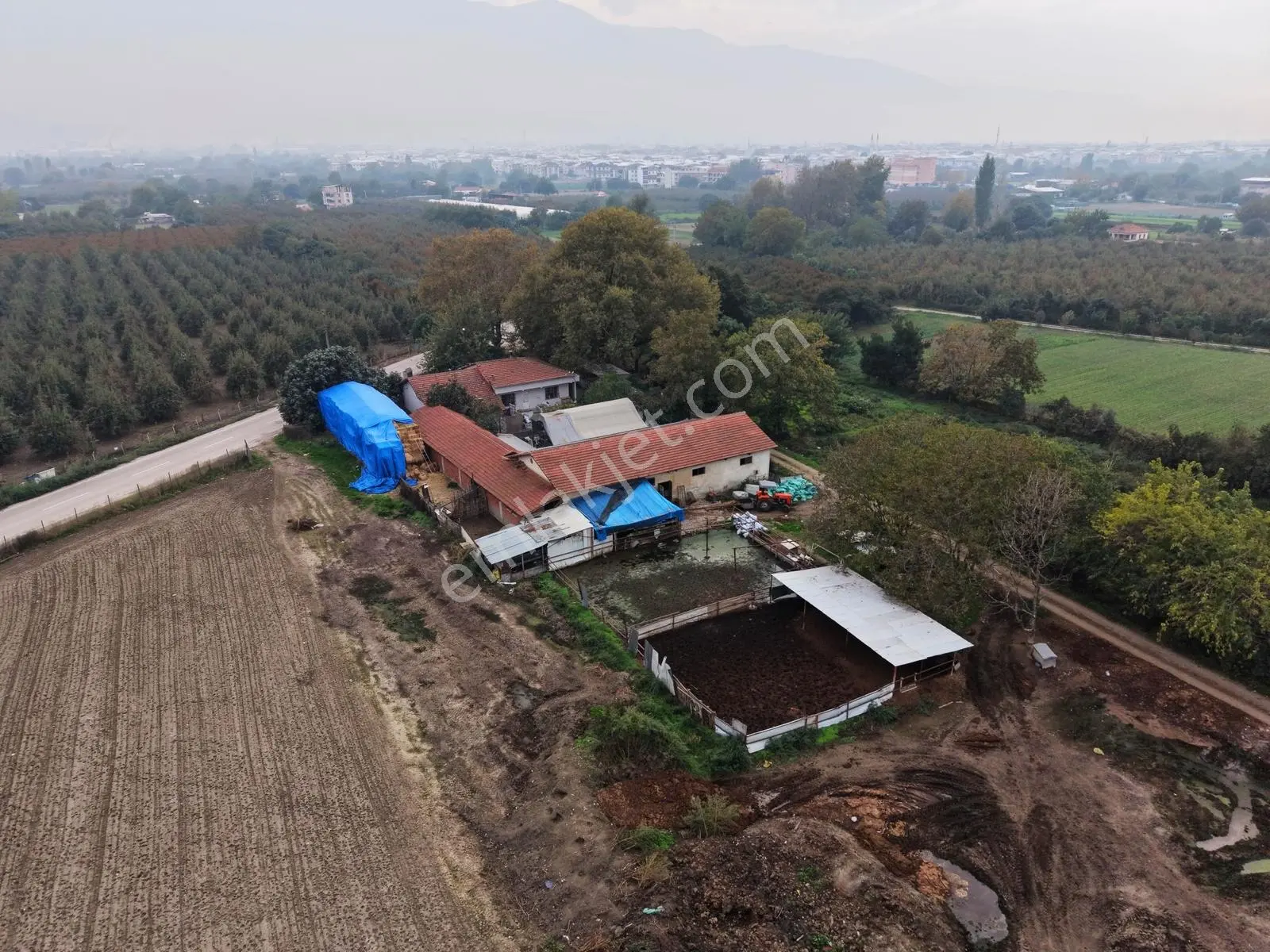 Gürsu Adaköy Yolu Üzerinde Satılık 8625m² Çiftlik Ve Arsası — fotoğraf 13