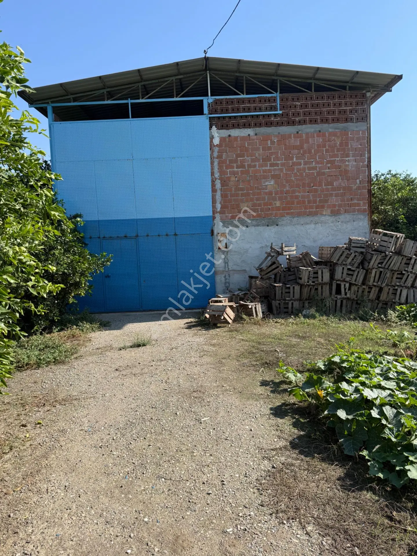 Kuyucak Merkezde Yol Kenarı 1.725 M2 Depo Ve Portakal Bahçesi — fotoğraf 7