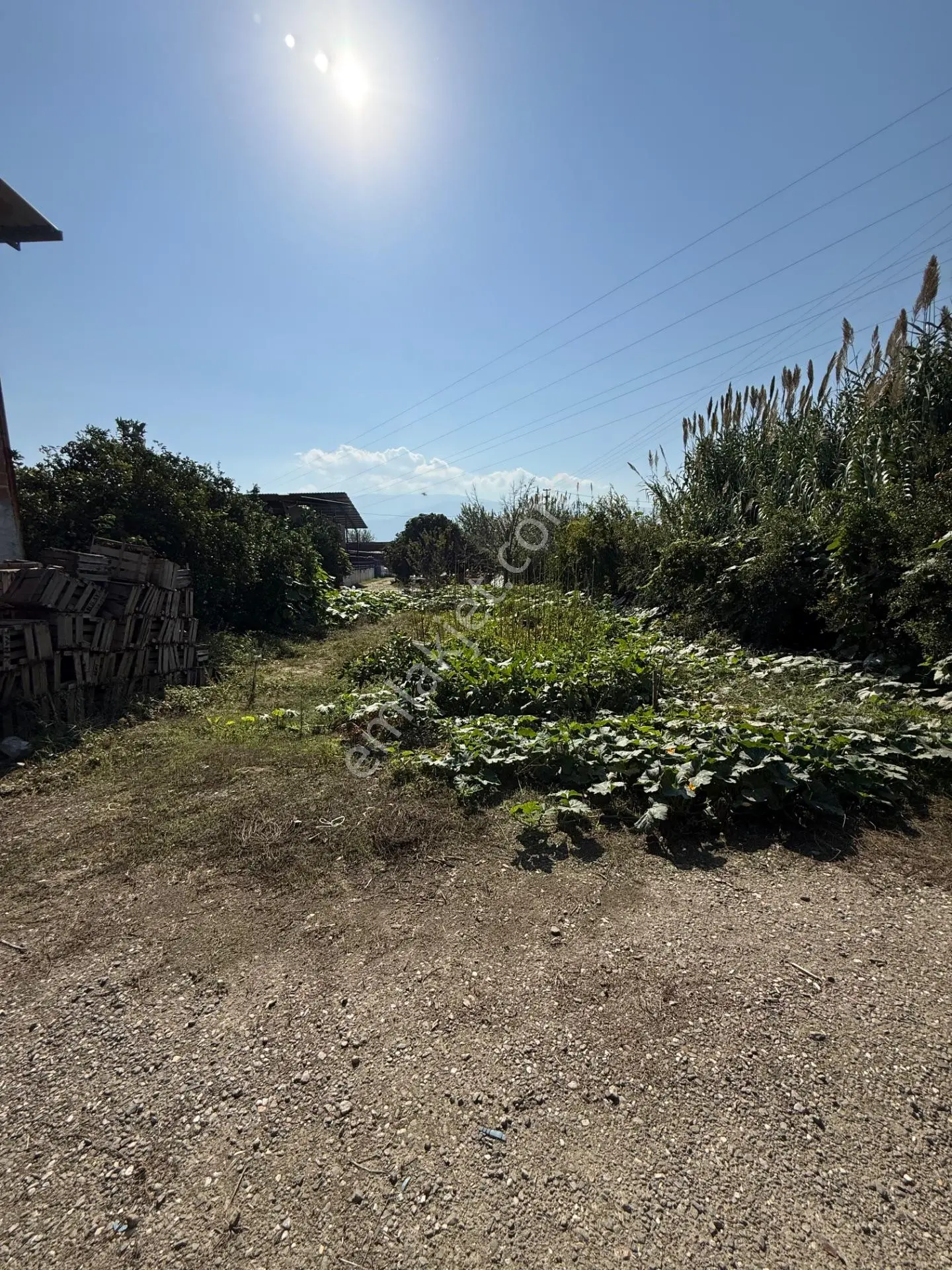 Kuyucak Merkezde Yol Kenarı 1.725 M2 Depo Ve Portakal Bahçesi — fotoğraf 14