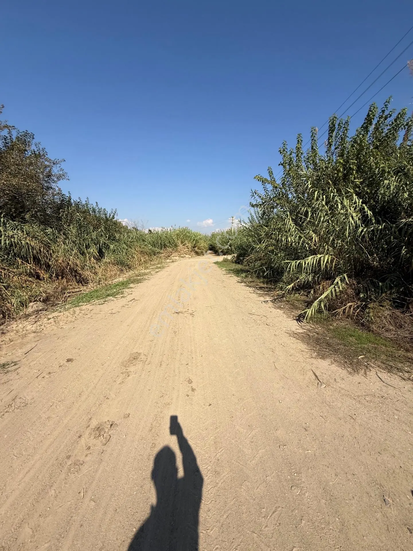 Kuyucak Merkezde Yol Kenarı 1.725 M2 Depo Ve Portakal Bahçesi — fotoğraf 15