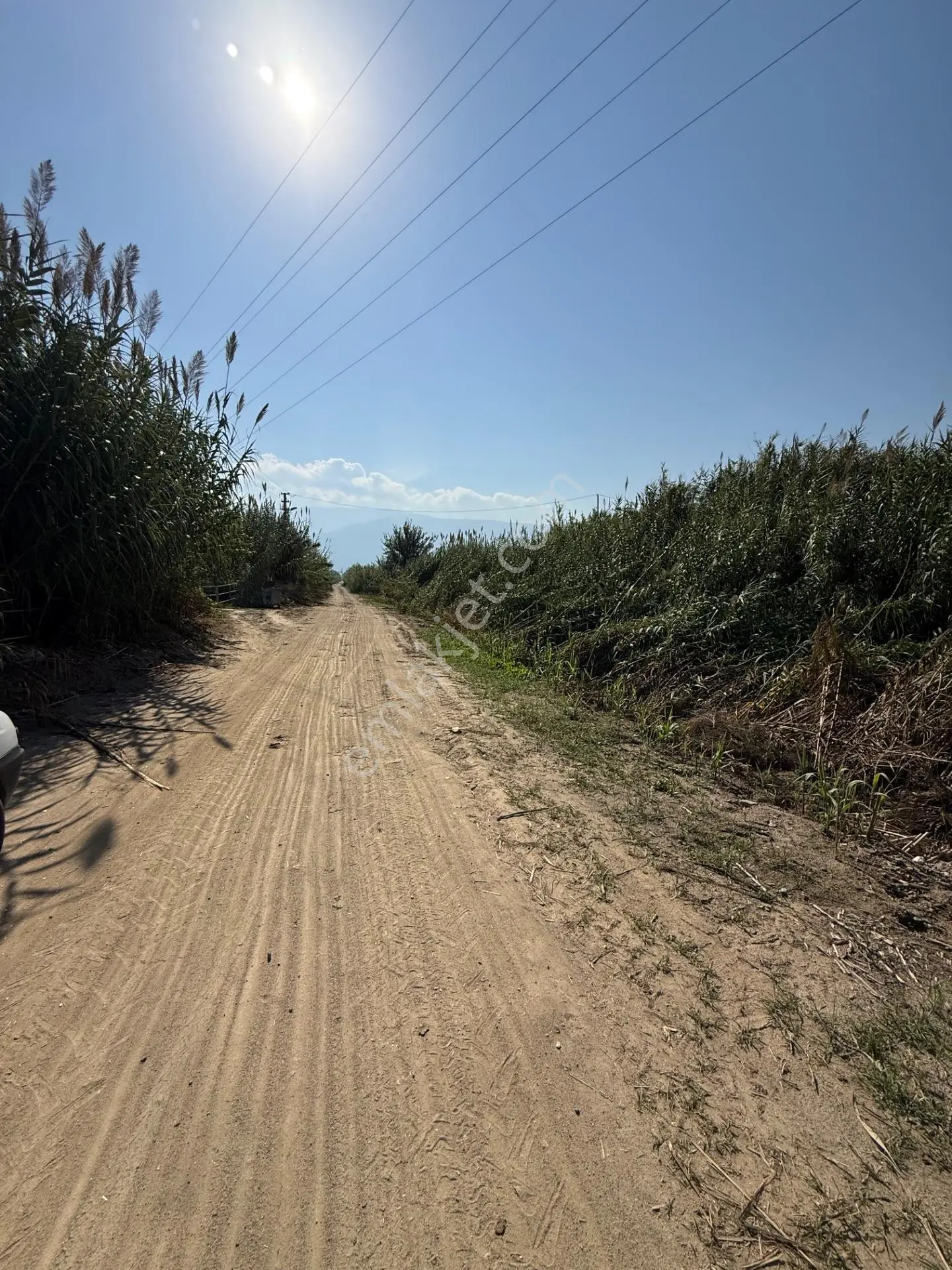 Kuyucak Merkezde Yol Kenarı 1.725 M2 Depo Ve Portakal Bahçesi — fotoğraf 16