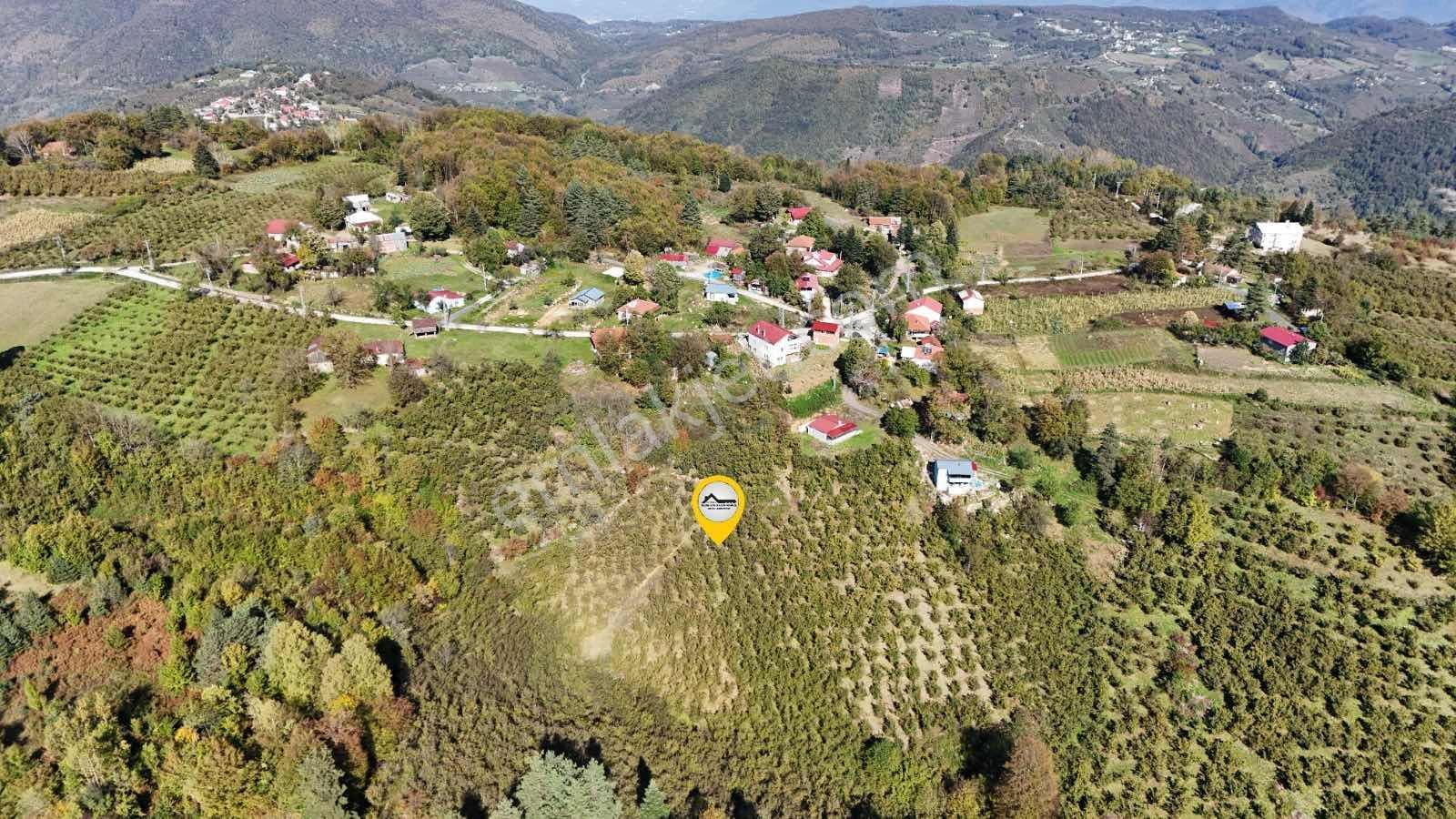 Ruşen Aydın Gyd'dan Düzce Kaynaşlı Çatalçam'da Satılık Arsa — fotoğraf 2