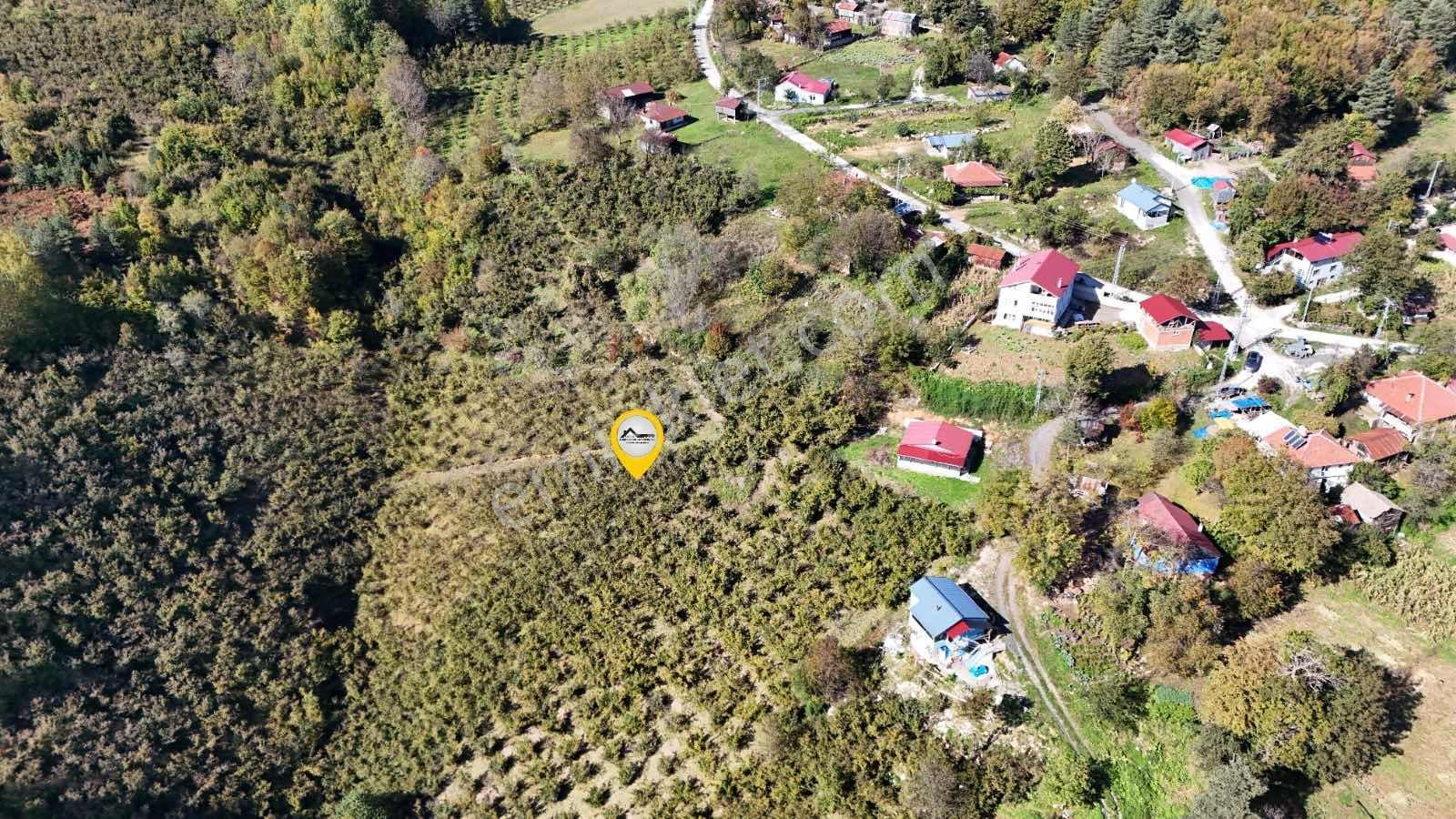 Ruşen Aydın Gyd'dan Düzce Kaynaşlı Çatalçam'da Satılık Arsa — fotoğraf 3