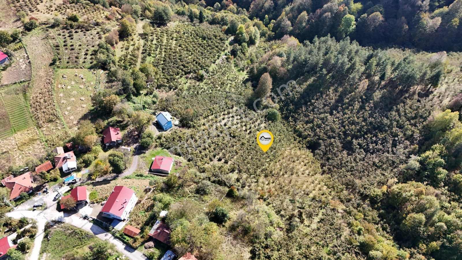 Ruşen Aydın Gyd'dan Düzce Kaynaşlı Çatalçam'da Satılık Arsa — fotoğraf 4