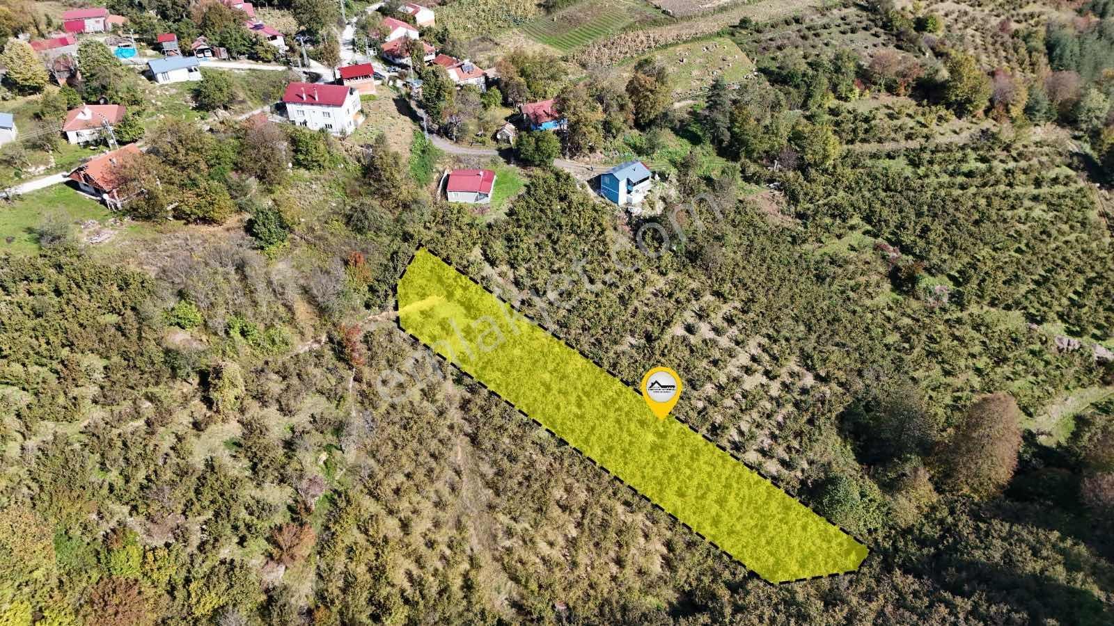 Ruşen Aydın Gyd'dan Düzce Kaynaşlı Çatalçam'da Satılık Arsa — fotoğraf 5