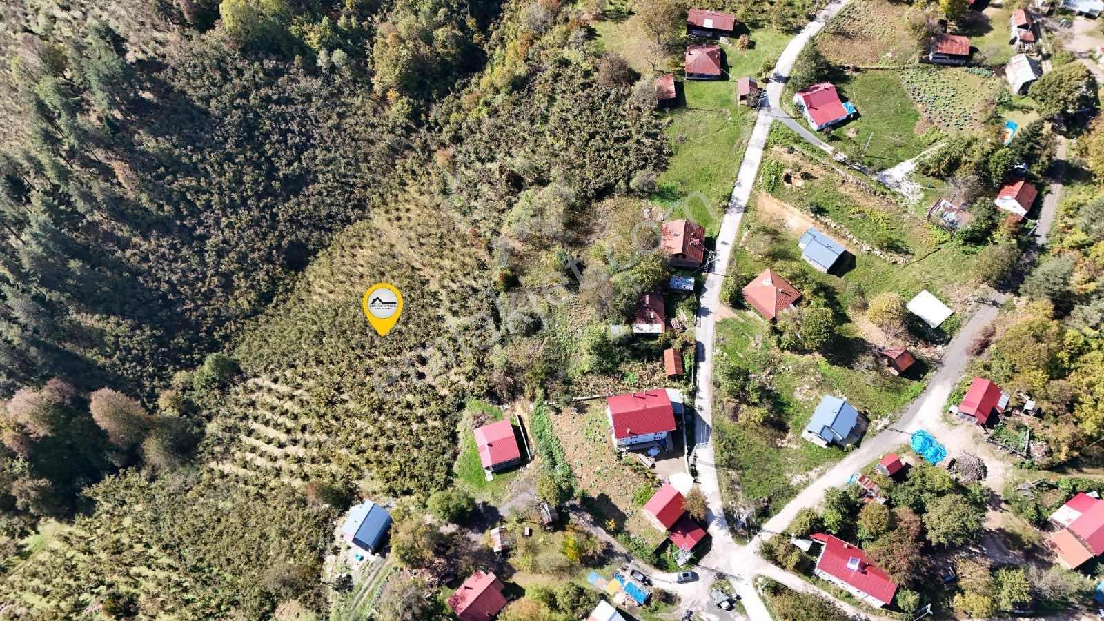 Ruşen Aydın Gyd'dan Düzce Kaynaşlı Çatalçam'da Satılık Arsa — fotoğraf 7