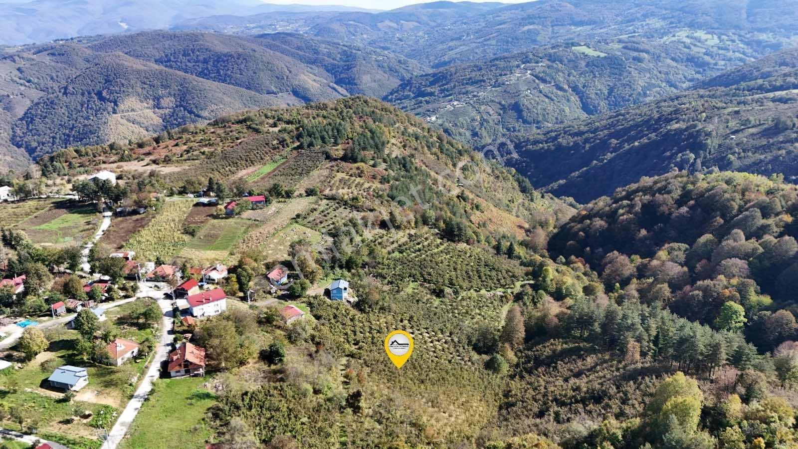 Ruşen Aydın Gyd'dan Düzce Kaynaşlı Çatalçam'da Satılık Arsa — fotoğraf 9
