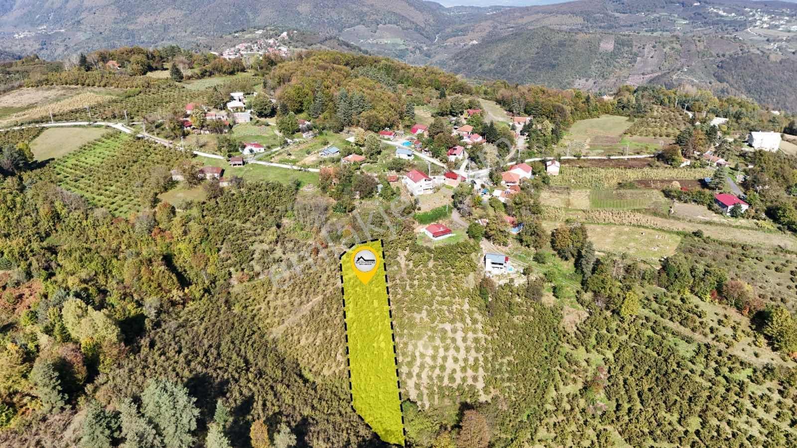 Ruşen Aydın Gyd'dan Düzce Kaynaşlı Çatalçam'da Satılık Arsa — fotoğraf 10