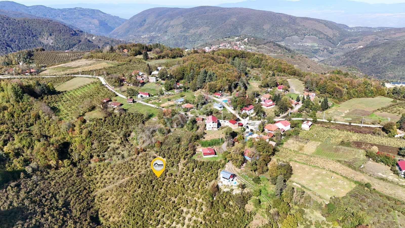 Ruşen Aydın Gyd'dan Düzce Kaynaşlı Çatalçam'da Satılık Arsa — fotoğraf 11