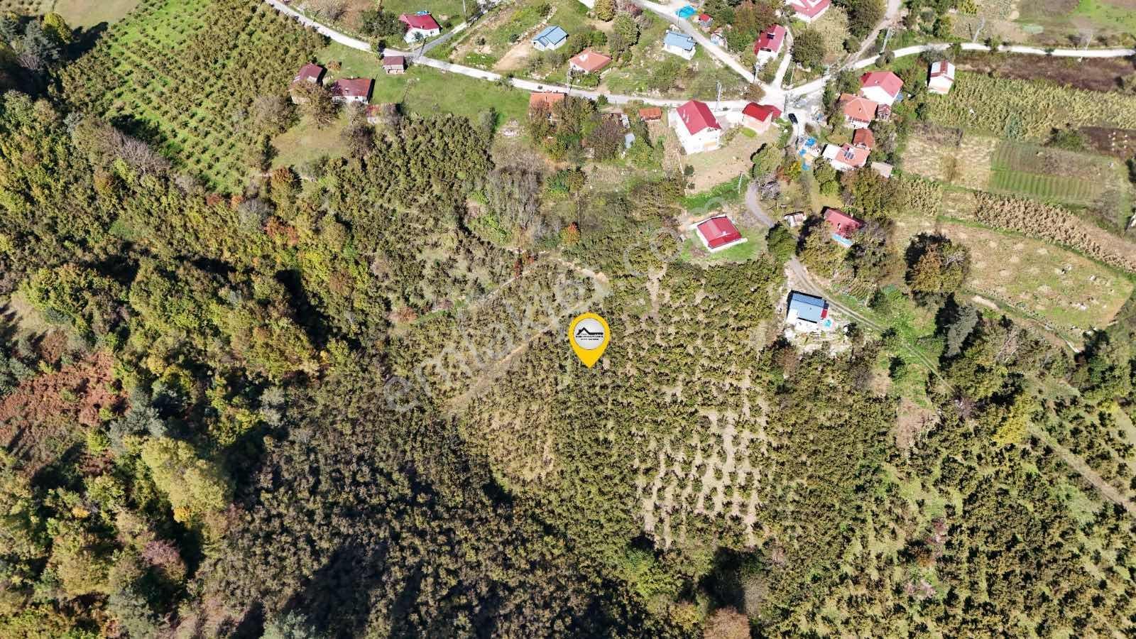 Ruşen Aydın Gyd'dan Düzce Kaynaşlı Çatalçam'da Satılık Arsa — fotoğraf 12