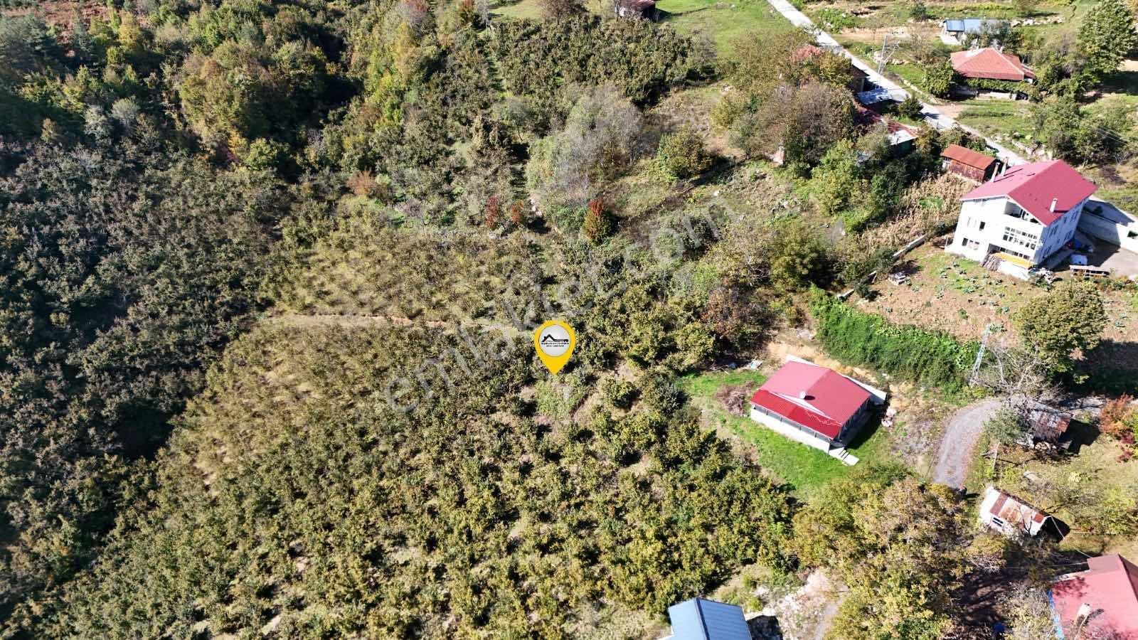Ruşen Aydın Gyd'dan Düzce Kaynaşlı Çatalçam'da Satılık Arsa — fotoğraf 13