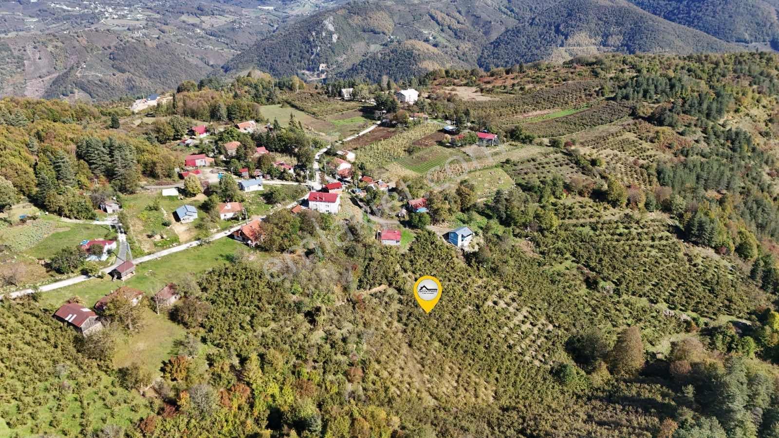 Ruşen Aydın Gyd'dan Düzce Kaynaşlı Çatalçam'da Satılık Arsa — fotoğraf 14