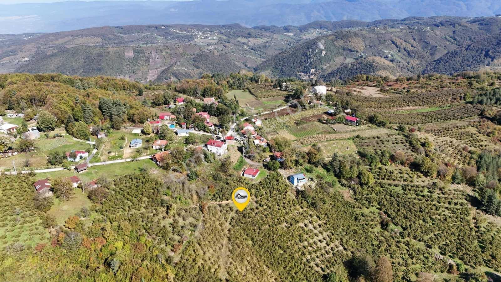 Ruşen Aydın Gyd'dan Düzce Kaynaşlı Çatalçam'da Satılık Arsa — fotoğraf 15