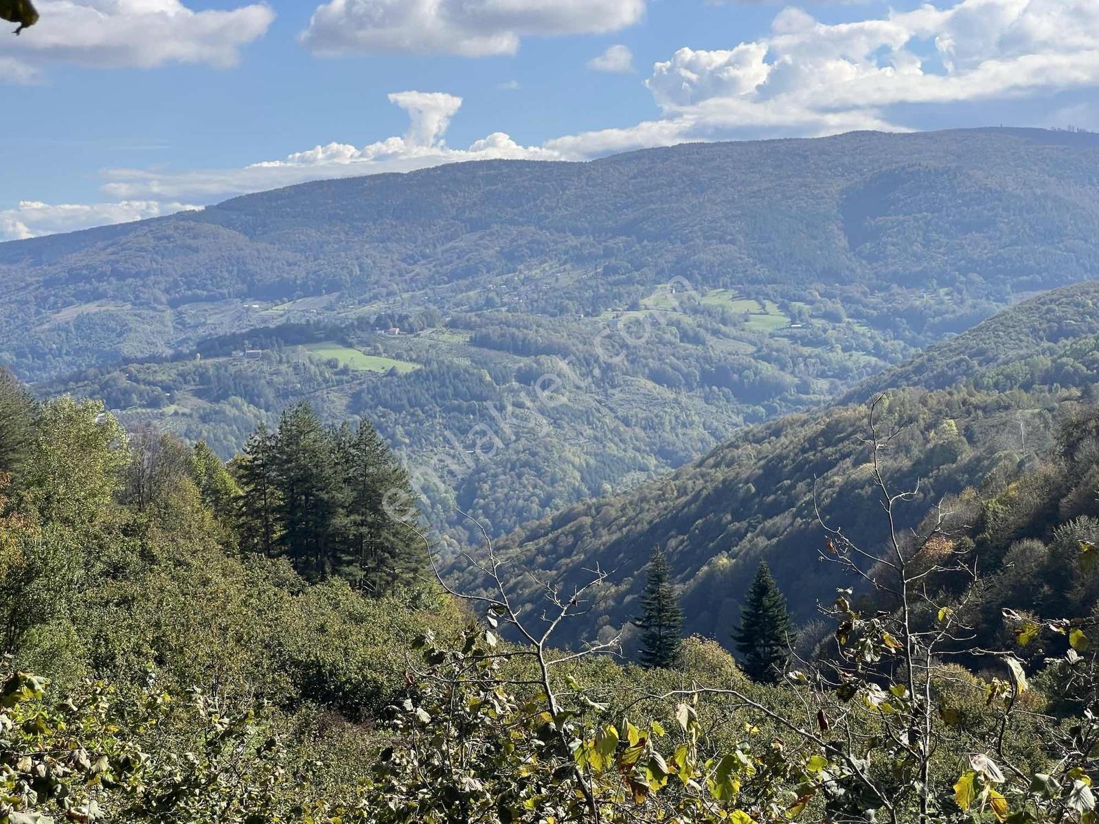 Ruşen Aydın Gyd'dan Düzce Kaynaşlı Çatalçam'da Satılık Arsa — fotoğraf 26