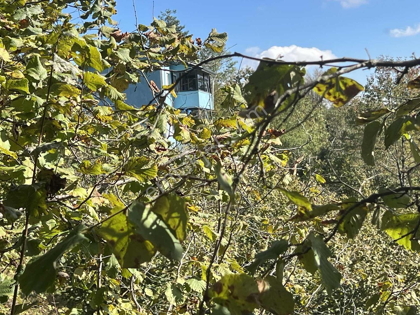 Ruşen Aydın Gyd'dan Düzce Kaynaşlı Çatalçam'da Satılık Arsa — fotoğraf 28