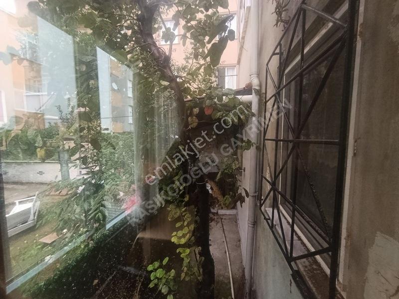Darıca Osman Gazi De 1+1 Müstakil Giriş Satılık Daire — fotoğraf 22