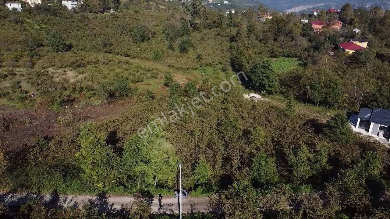 Trabzon Gölçayır'da Satılık Arazi — fotoğraf 7