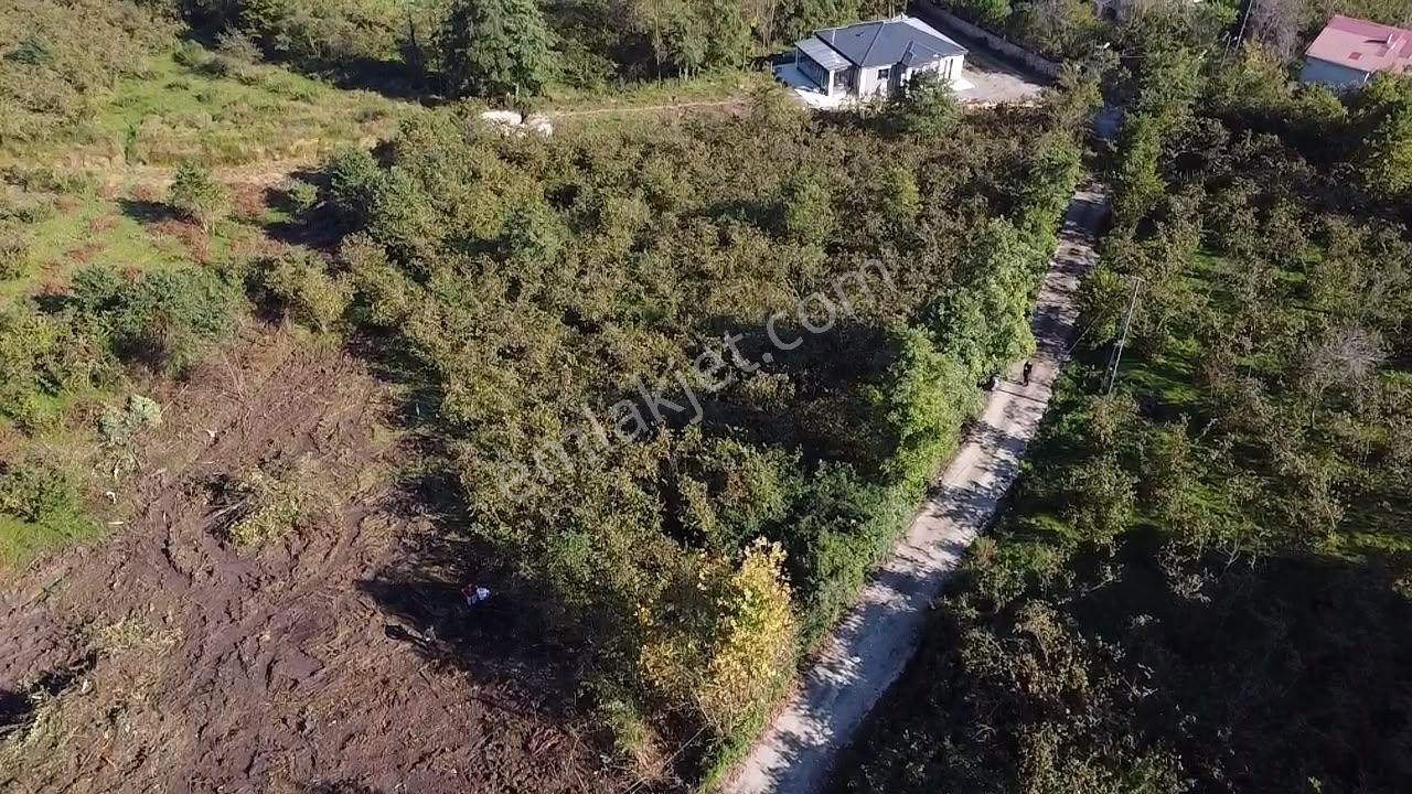 Trabzon Gölçayır'da Satılık Arazi — fotoğraf 22