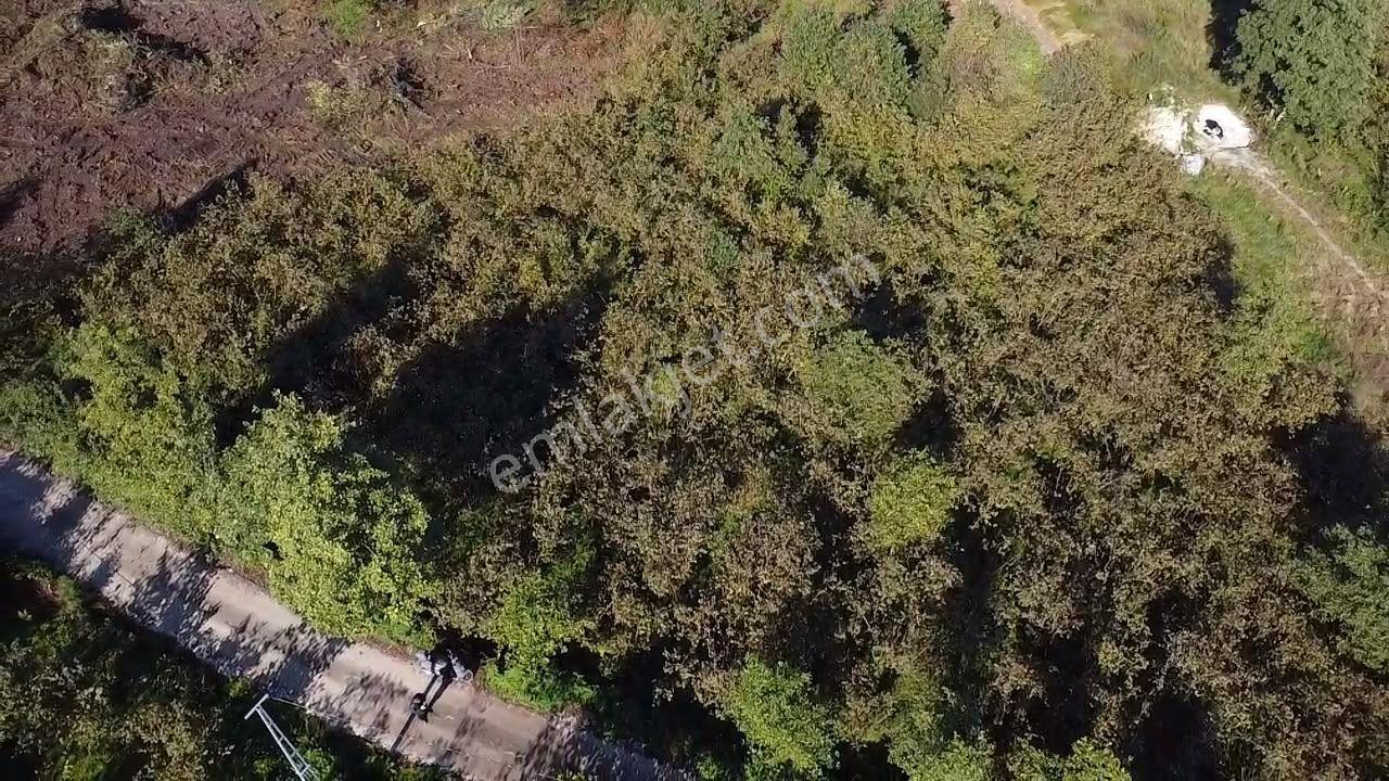 Trabzon Gölçayır'da Satılık Arazi — fotoğraf 26