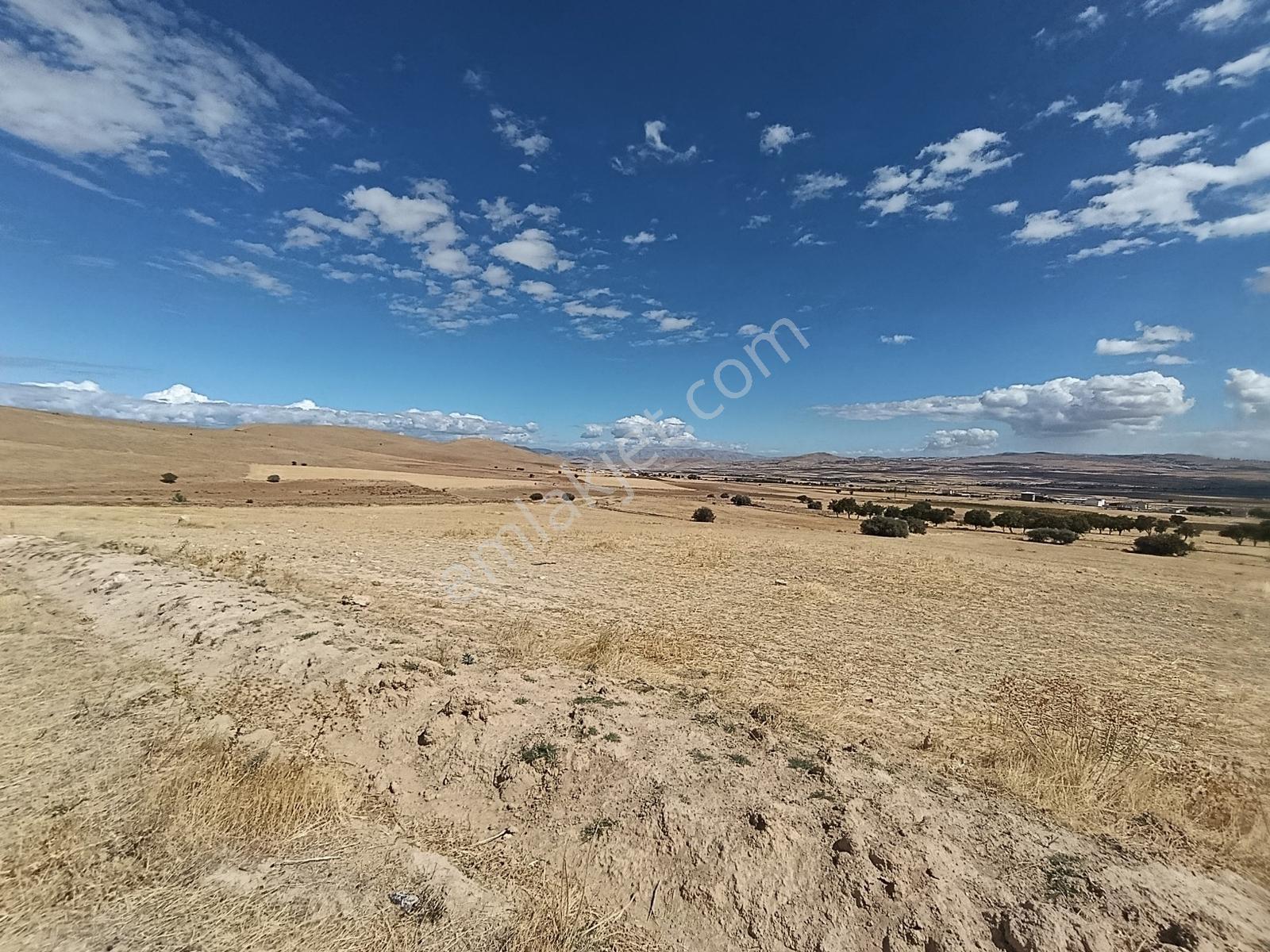 Larimar'dan Alpagut (dişidi) Köyünde Satılık Araziler — fotoğraf 16