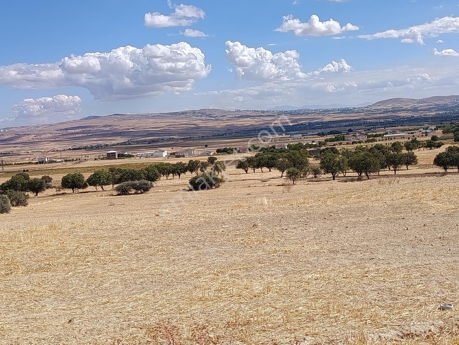 Larimar'dan Alpagut (dişidi) Köyünde Satılık Araziler — fotoğraf 20