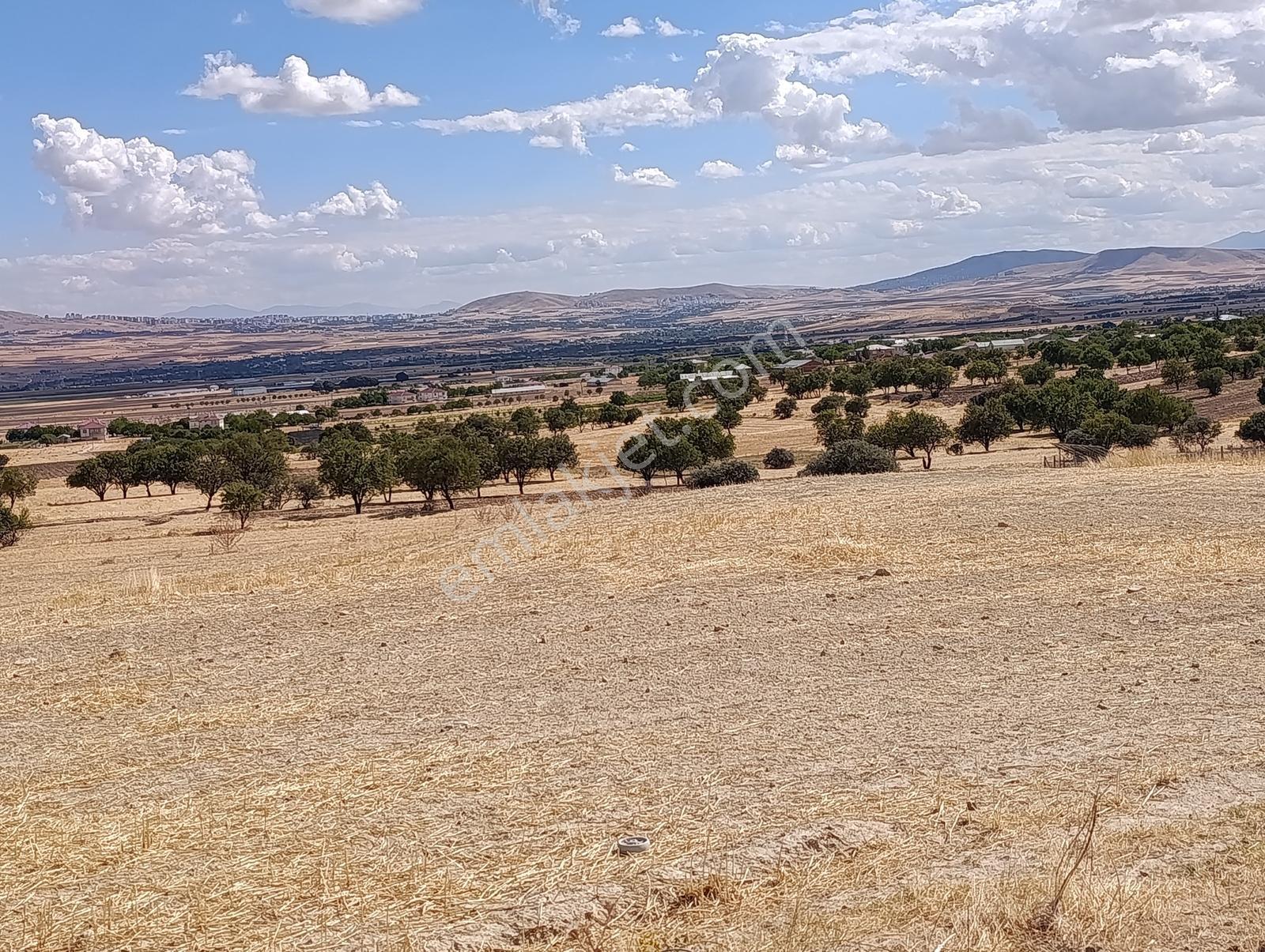 Larimar'dan Alpagut (dişidi) Köyünde Satılık Araziler — fotoğraf 21