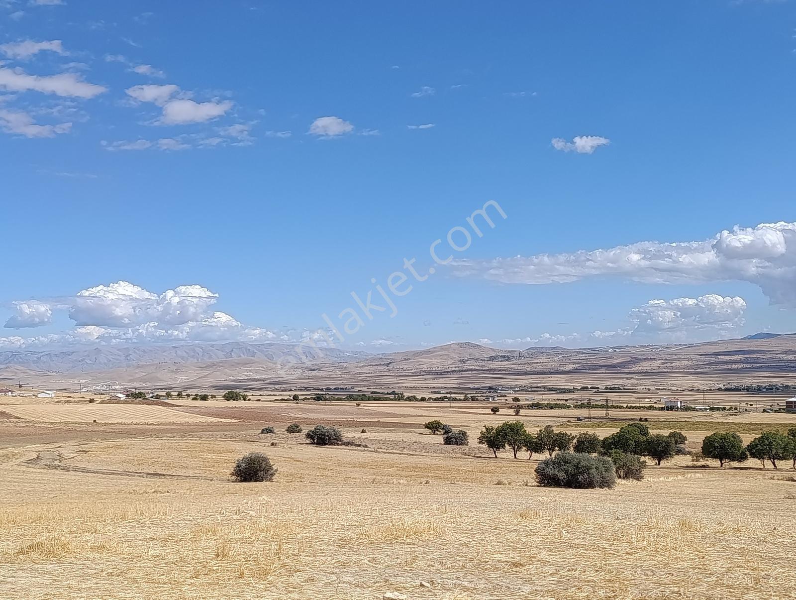 Larimar'dan Alpagut (dişidi) Köyünde Satılık Araziler — fotoğraf 22