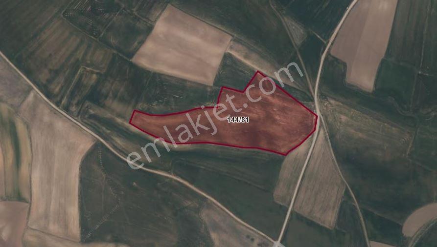 Anka Gayrimenkul- Bünyan Da 28.000 M2 Satılık Tarla — fotoğraf 3