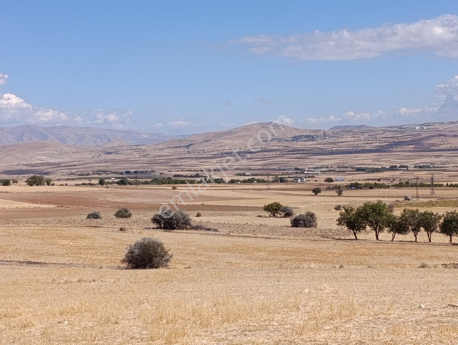 Larimar'dan Alpagut (dişidi) Köyünde Satılık Araziler — fotoğraf 18
