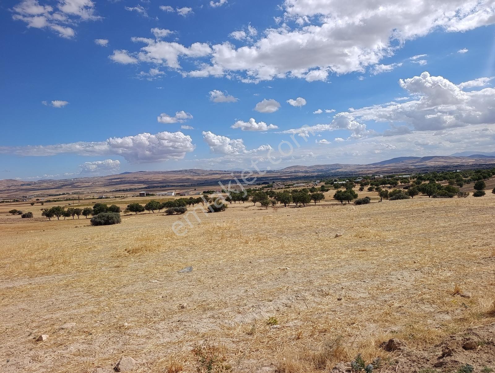 Larimar'dan Alpagut (dişidi) Köyünde Satılık Araziler — fotoğraf 19