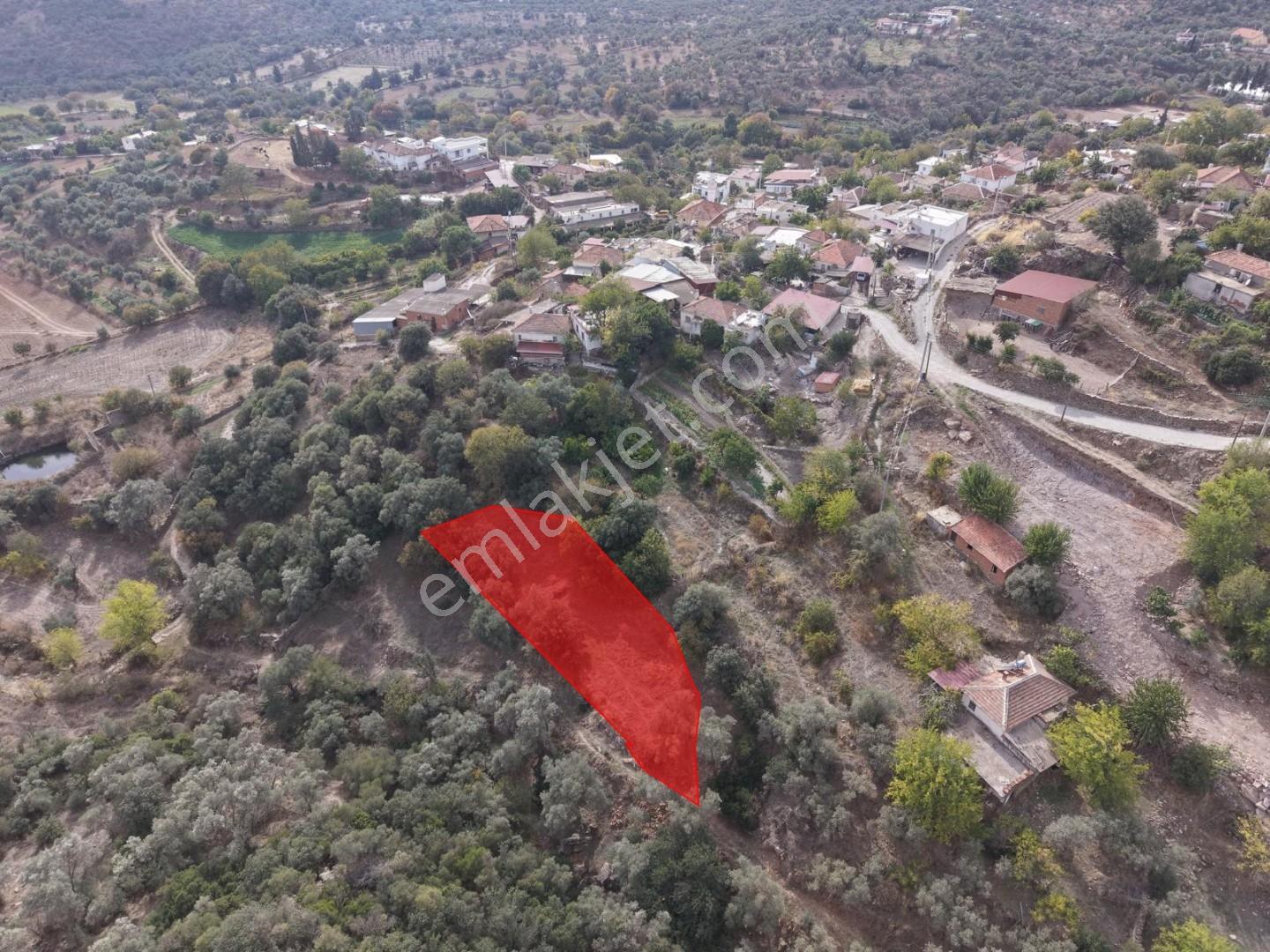 Doğadan Milas Karapınar Mah 925 M2 Köy İçi Arsa