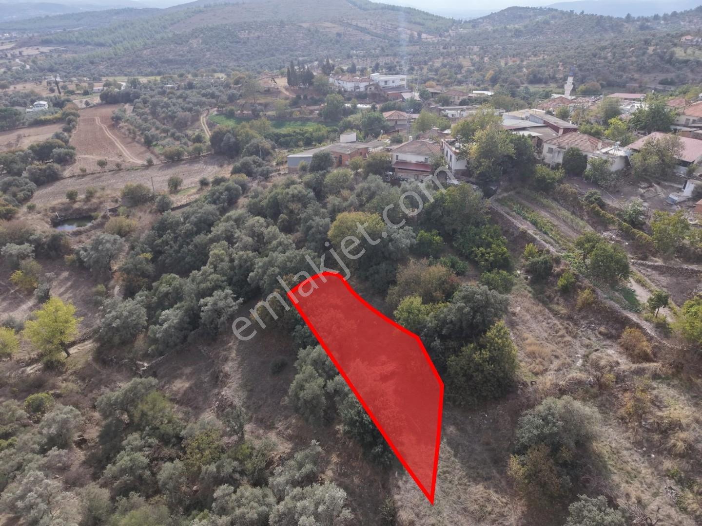 Doğadan Milas Karapınar Mah 925 M2 Köy İçi Arsa — fotoğraf 2