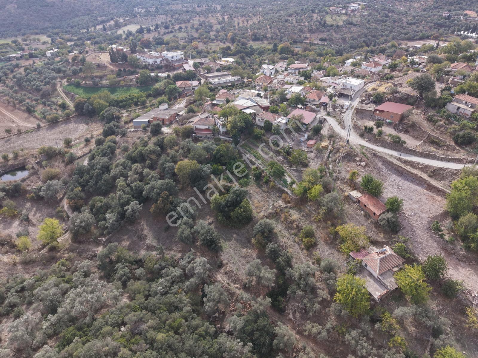 Doğadan Milas Karapınar Mah 925 M2 Köy İçi Arsa — fotoğraf 3